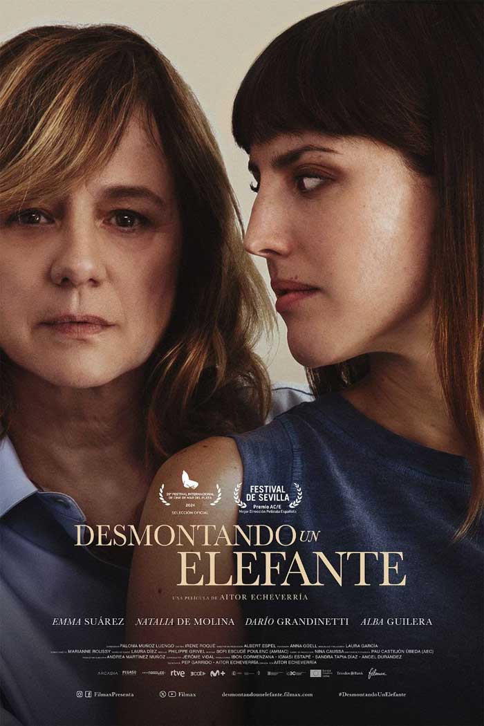 Desmontando un elefante - cartel