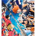 Haikyu!! La batalla del basurero cartel reducido