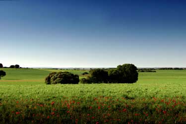 Los caminos de la memoria