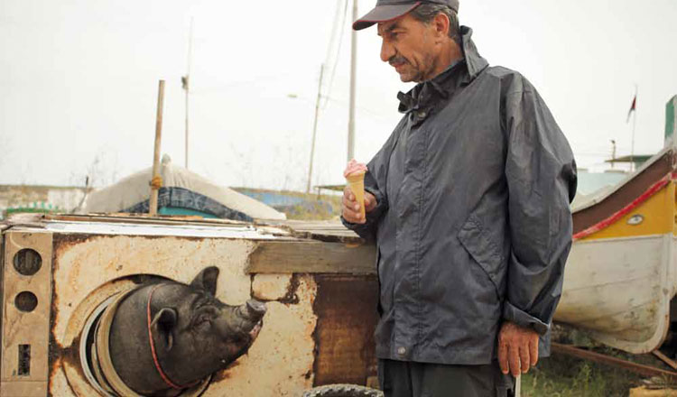 Un cerdo en Gaza