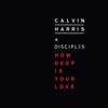 Calvin Harris con Disciples: How deep is your love - portada reducida