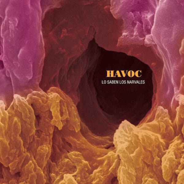 Havoc: Lo saben los narvales - portada