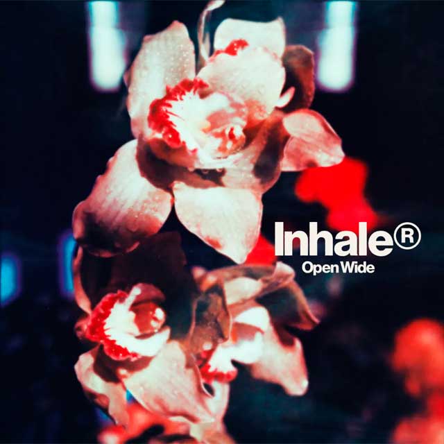 Inhaler: Open wide - portada