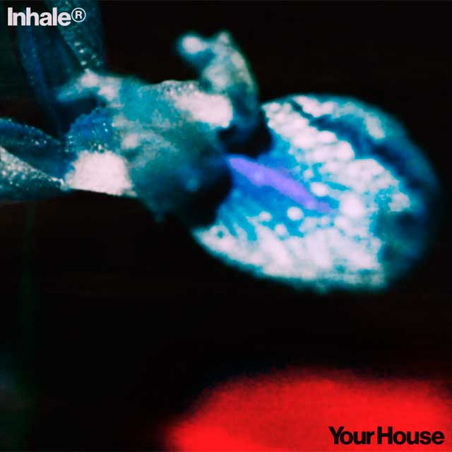 Inhaler: Your house - portada