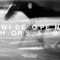 James Vincent McMorrow: Wide open, horses - portada reducida