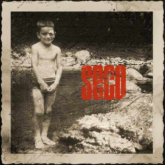 Ricardo Arjona: Seco - portada