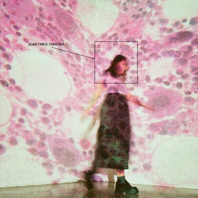 Soccer Mommy: Sometimes, forever - portada