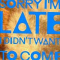 The Wombats: Sorry I'm late, I didn't want to come - portada reducida