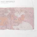 Tindersticks: Past imperfect - The best of Tindersticks 92 - 21 - portada reducida