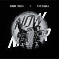 Now or never - portada reducida