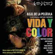 Vida y Color - portada mediana