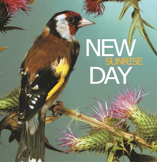 New Day: Sunrise - portada