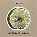 Wilco: Hot sun cool shroud - portada reducida