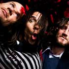 Stadium Arcadium de Red Hot Chili Peppers a la venta